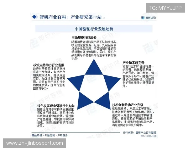 BCK体育：引领全球体育潮流的创新平台与未来发展趋势分析